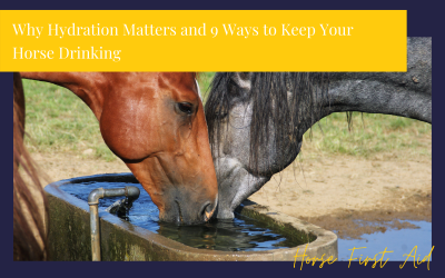 Hydration