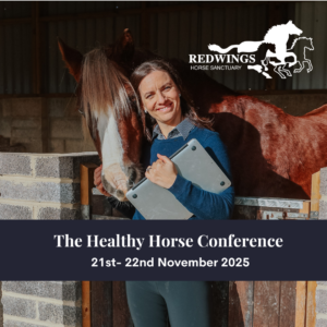 The Healthy Horse Conference - In-Person Ticket